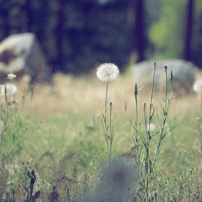 打架斗殴派出所处理流程需要多久,打架斗殴在派出所拘留24小时