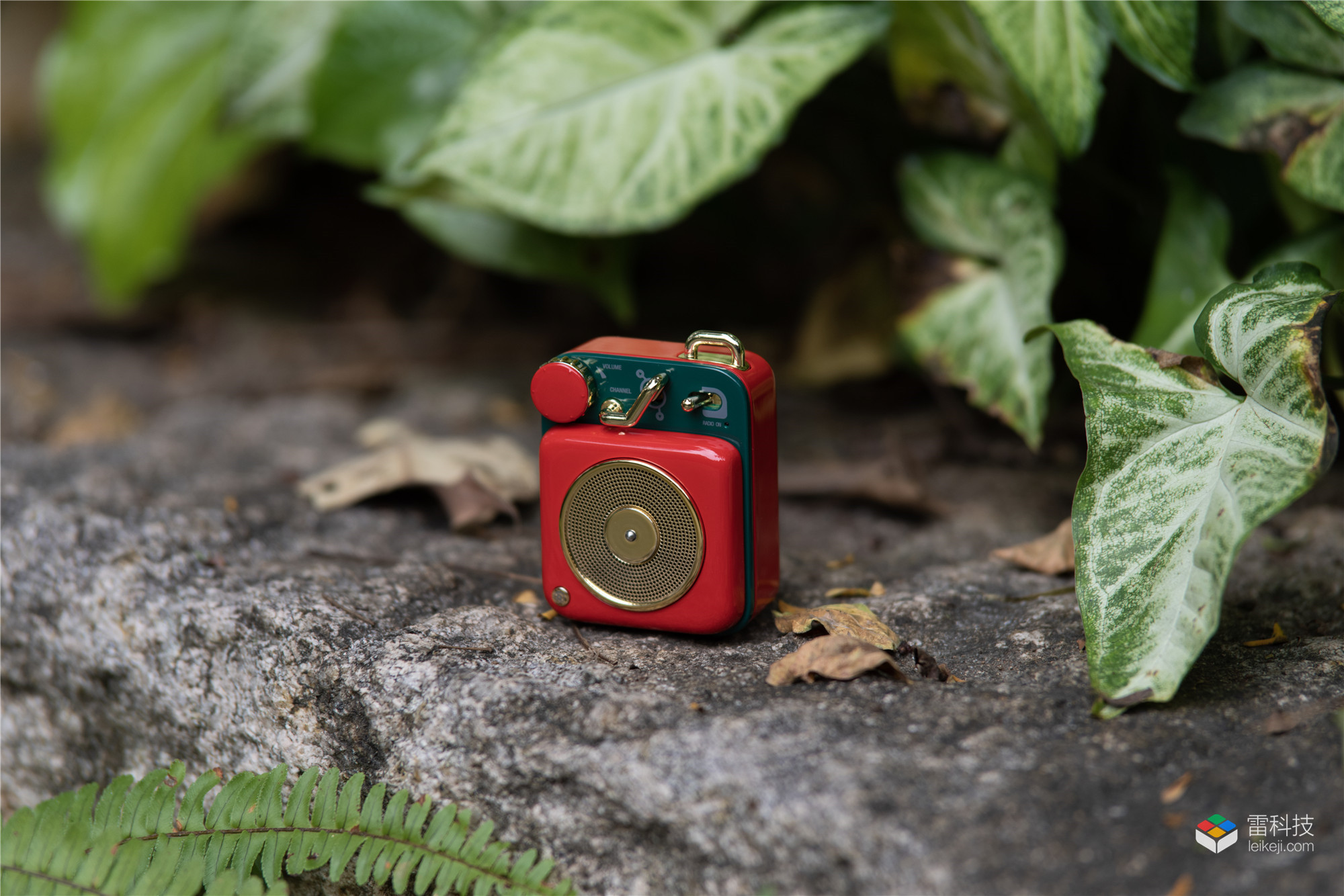 猫王原子唱机评测,猫王原子唱机和野性mini哪个好