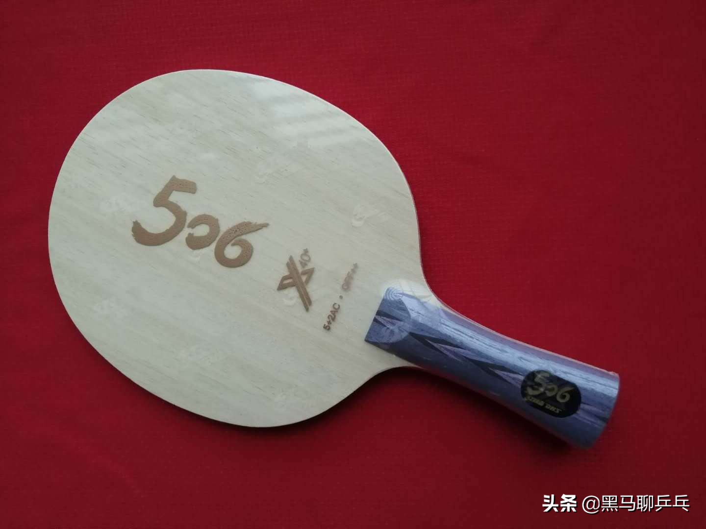 「二马说」第十一期：世界名将如何选择内外置底板（男子篇）