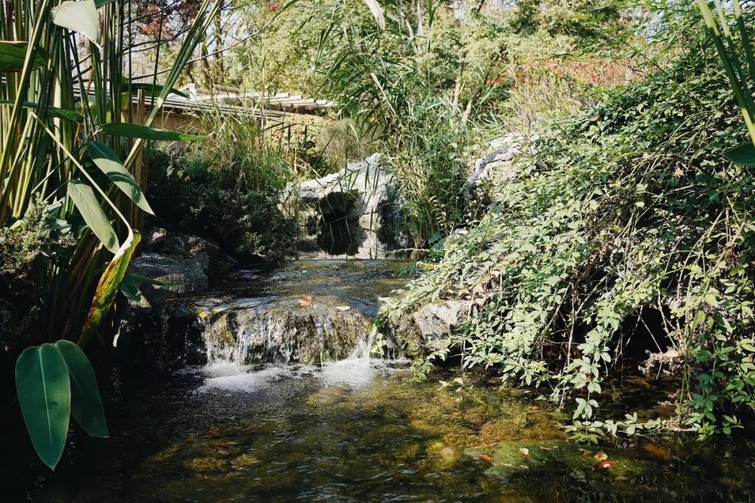 打卡南京西路新荣记,打卡新荣记