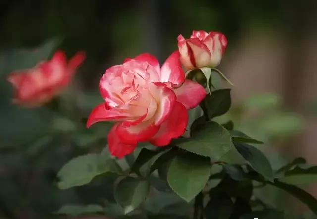 每天学习一点点女性小常识,每天学习一点点科普一下