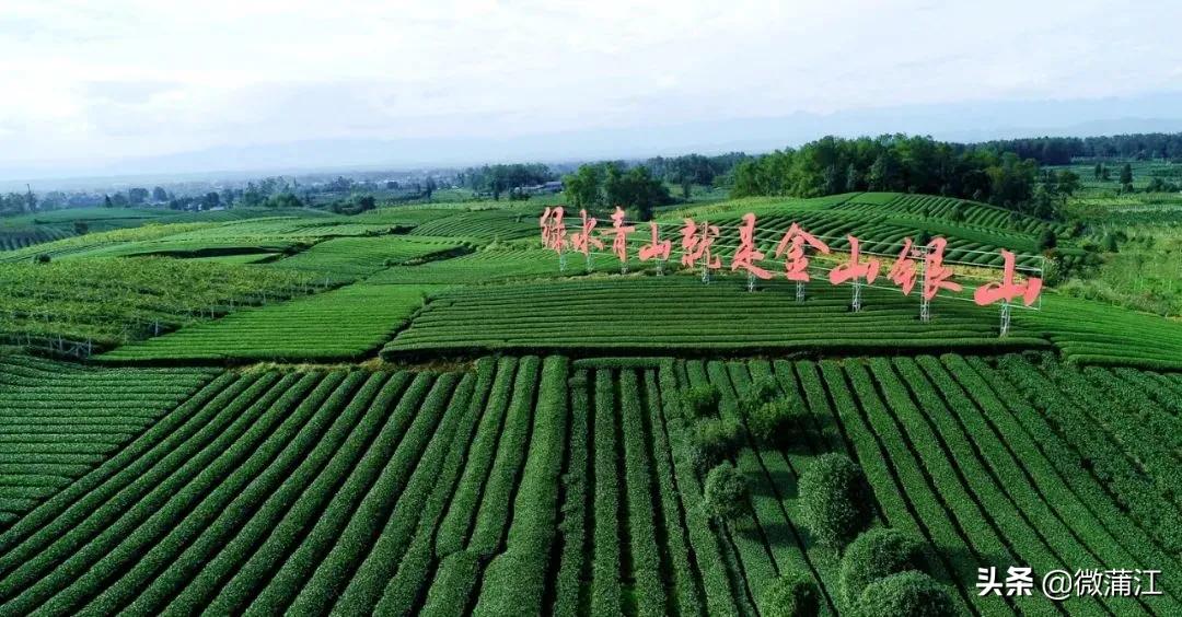 成都蒲江新闻一周要闻,成都日报在线观看