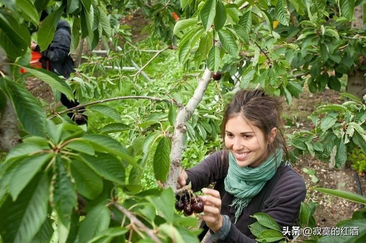 智利为什么被称为南美小霸主,智利是怎样成为最狭长国家的