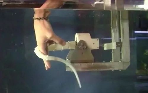 易家要闻——12月3日：马云怒怼雷军：风过去了，摔死的都是猪