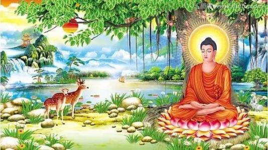 佛的九大征兆和象征,佛教九大象征