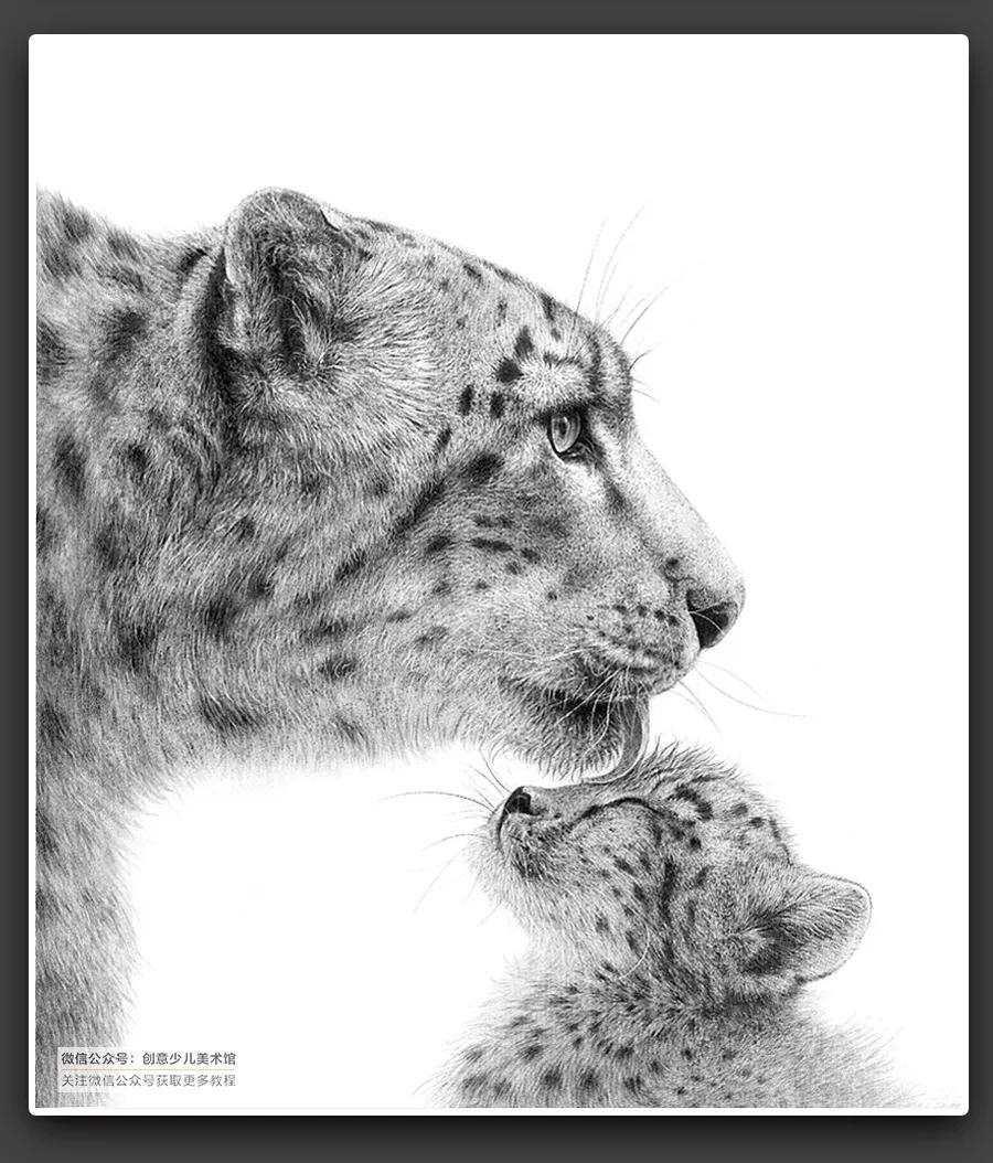 动物素描毛发细节教程,6-12岁儿童素描课程画动物