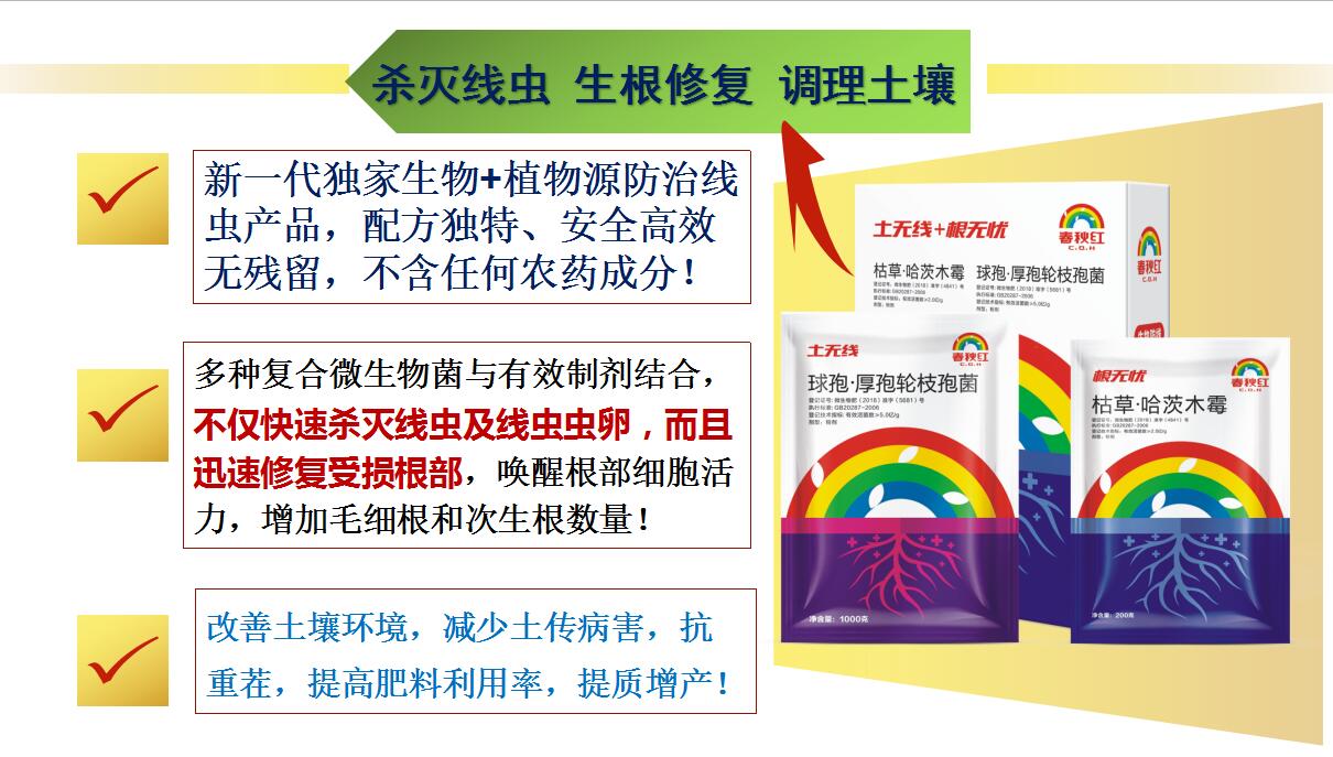 根结线虫防治有哪些农药,根结线虫防治药剂有哪些