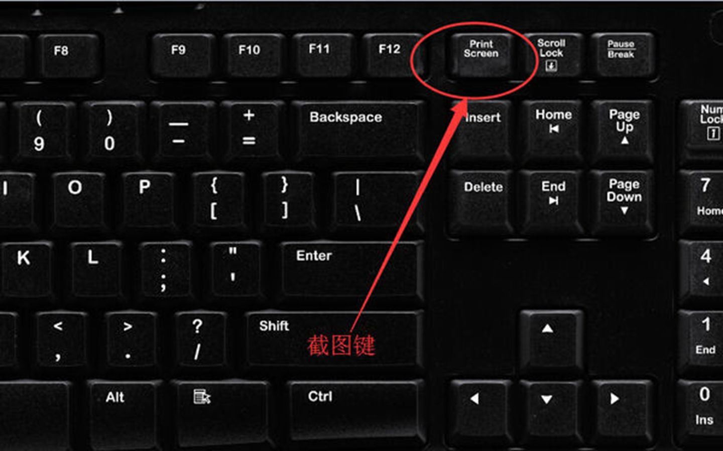 如何快速掌握电脑基本入门,笔记本电脑触摸屏使用技巧