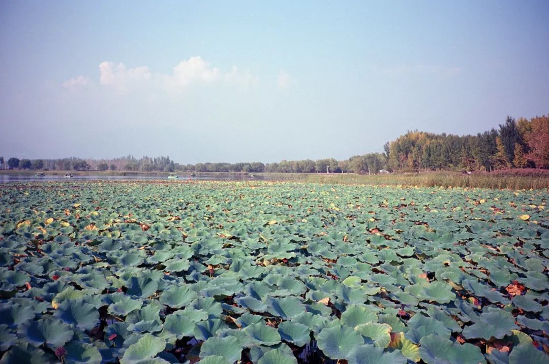 太格有物怎么样,太格有物