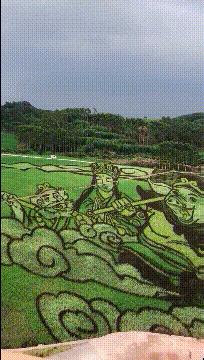 小短腿猫搞笑gif图,搞笑gif段子最后这只猫也太萌了吧