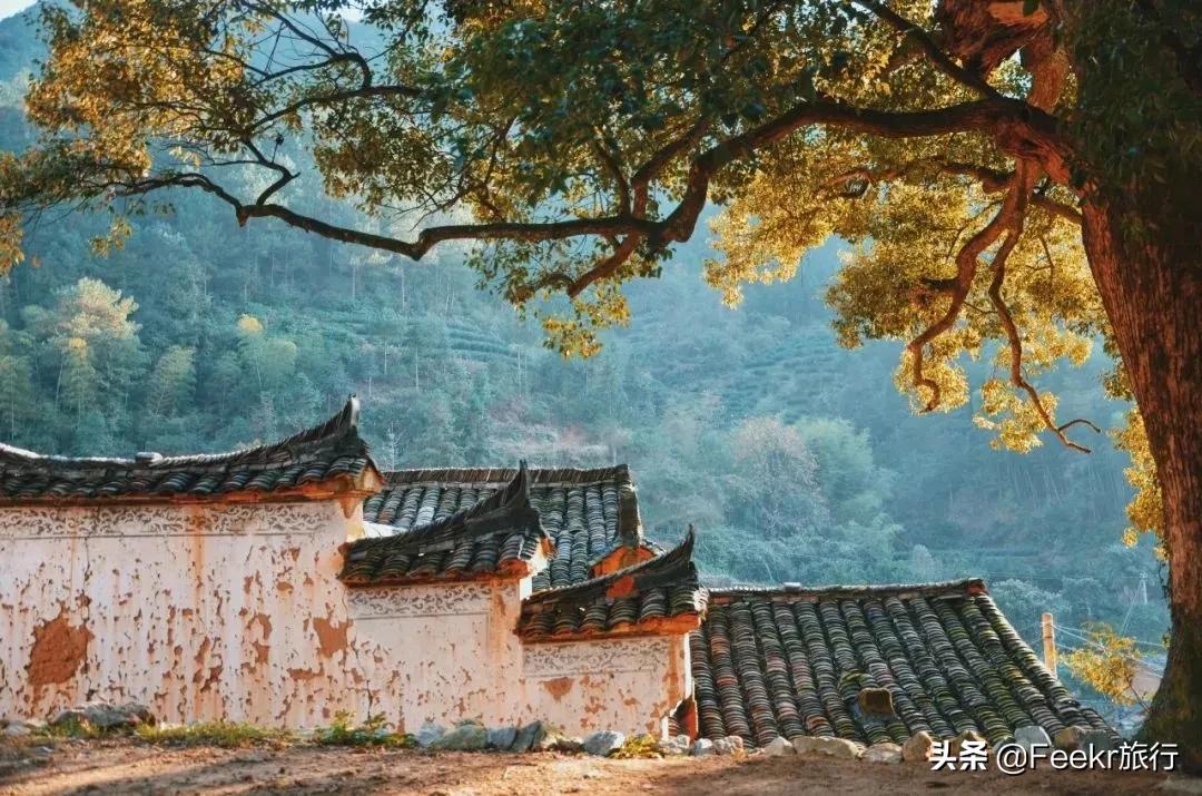 松阳又出一家避世仙居,改自老建筑仅设22间房,值得小住几日