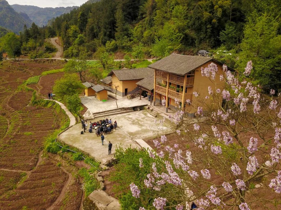 以习*平近**同志为核心的*党**中央2019年治国理政评述