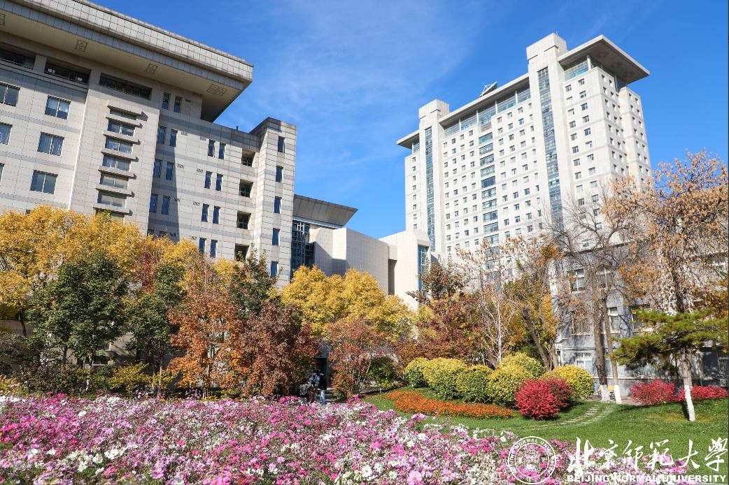 代表中国出战奥运会的运动员,2022中国奥运女子代表