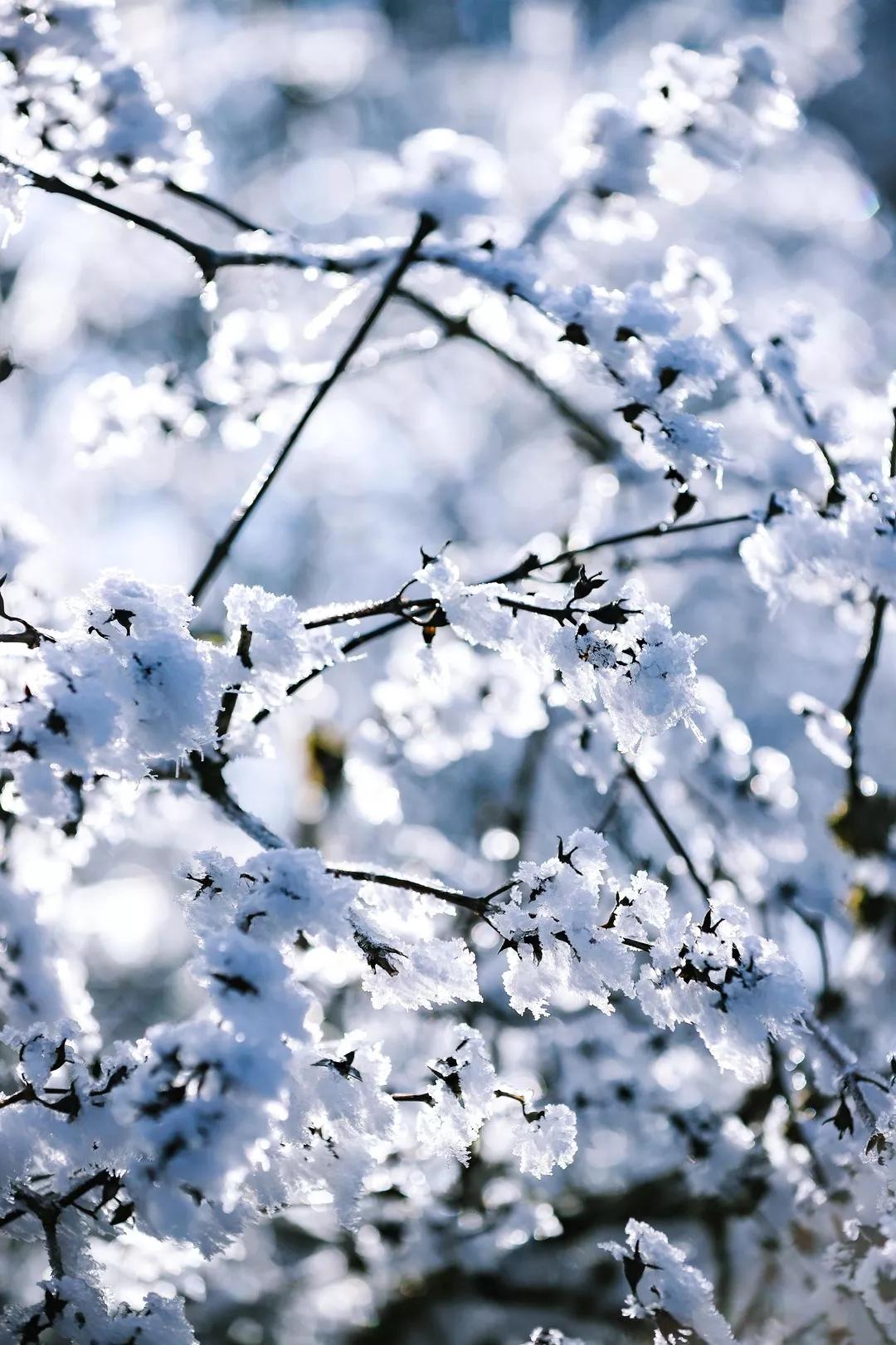 成都天台山景区自驾游攻略,成都天台山玩雪