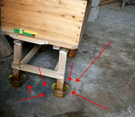 蜜蜂蜂箱进蚂蚁怎么防治呢,蜂箱里的蚂蚁怎么防治