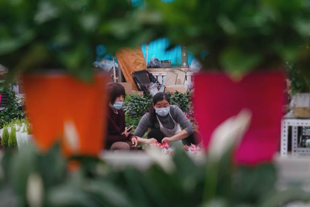 乌鲁木齐附近最便宜的花市,乌鲁木齐市花街在哪里