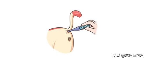 猫咪发烧了怎么办会自愈吗,猫咪发烧了怎么办小妙招