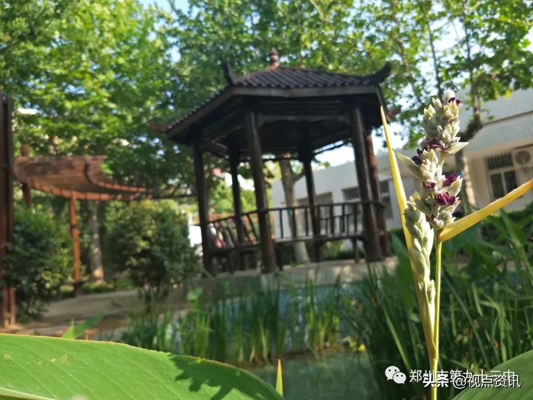 郑州市文明校园建设标准,郑州市第九十三中学校园