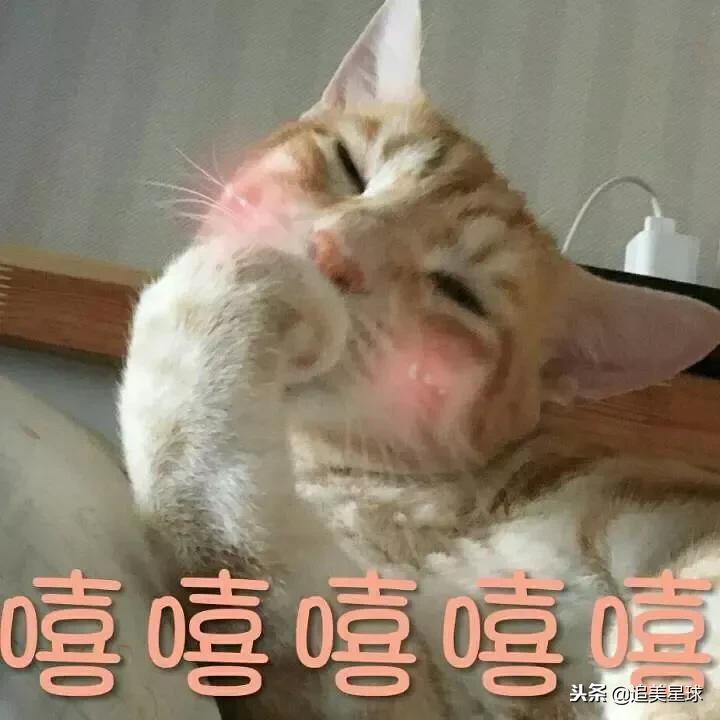 辛芷蕾用什么护肤品,辛芷蕾同款粉底防水