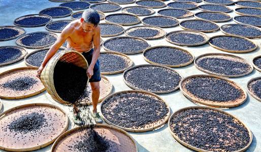 预防脑血栓的食疗偏方,调理脑血栓食疗