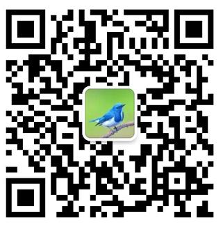 首届梦控师线下工作坊：走在梦的路上，胜过人间天堂