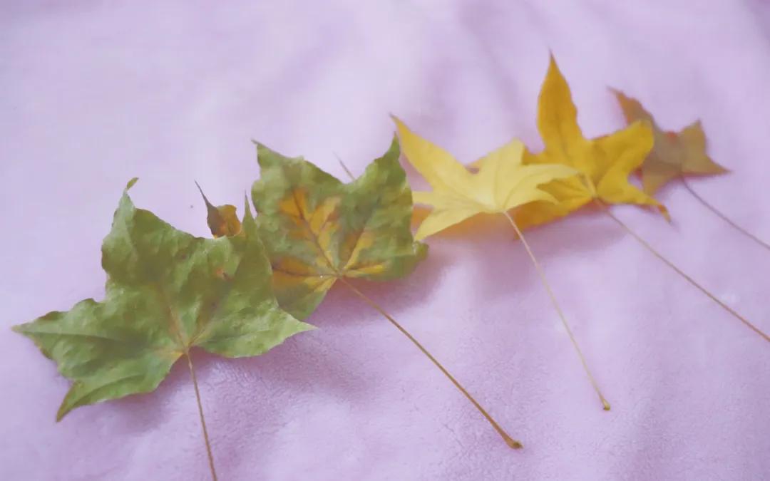 情绪稳定是成年人顶级的修养,情绪稳定的魅力