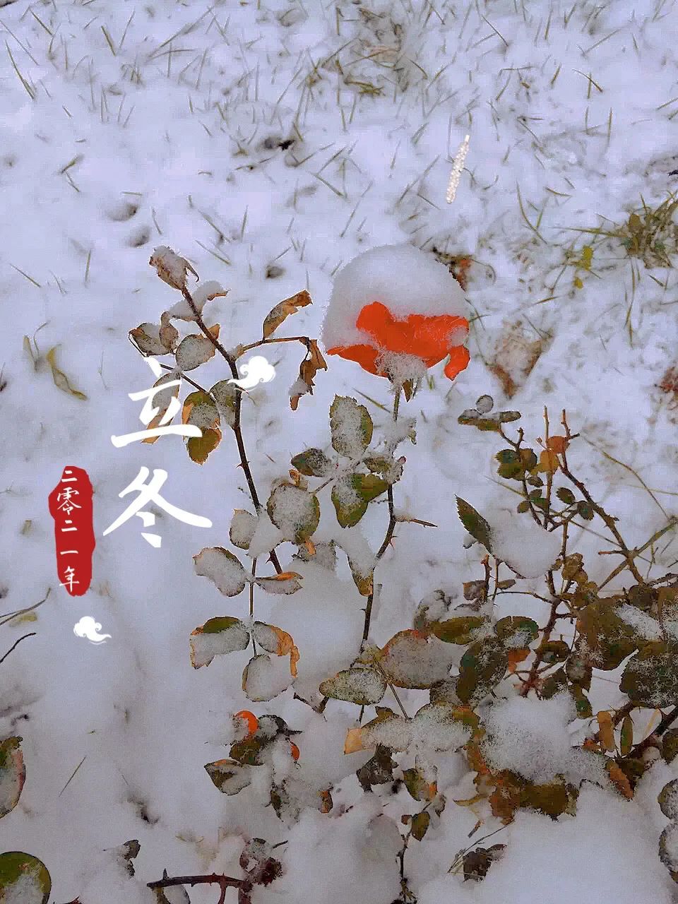 学习总是记不住,这五个步骤让你成为真正的学习高手