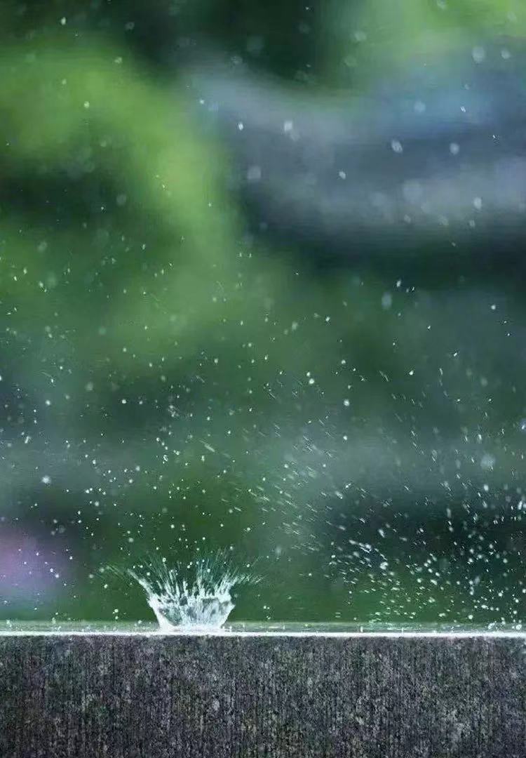 期货交易的核心技术,期货交易最好的操作