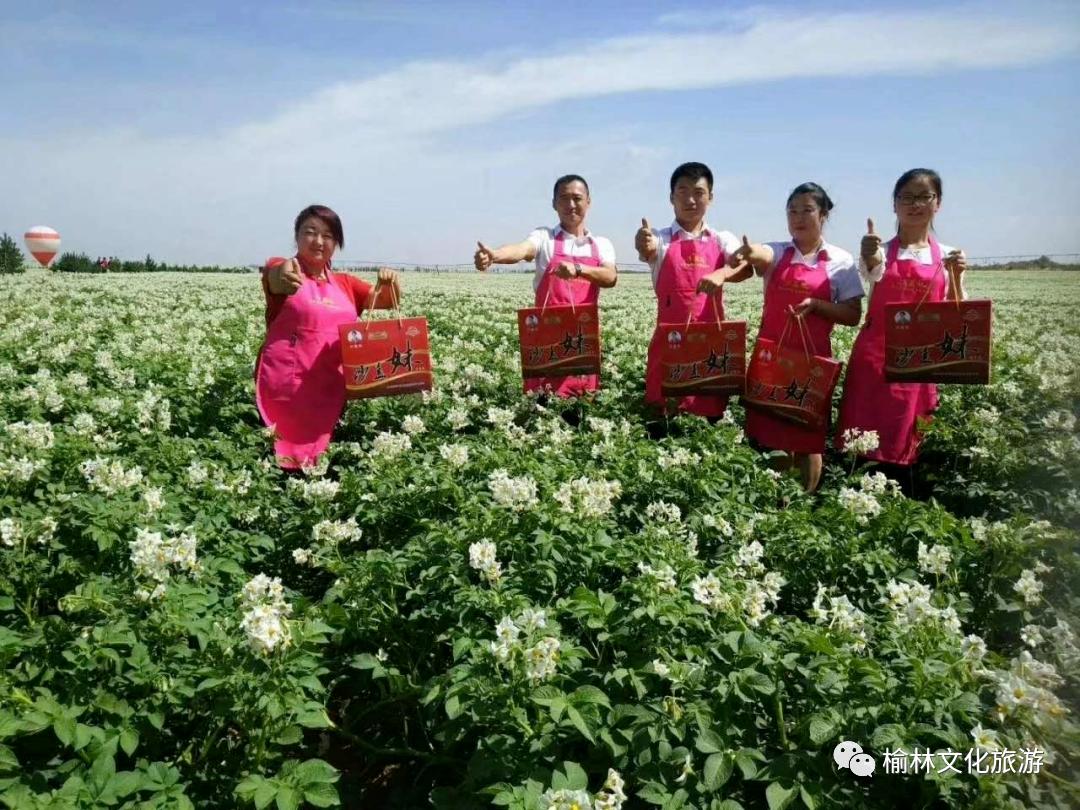 榆阳区周末游玩推荐,榆林芹河旅游