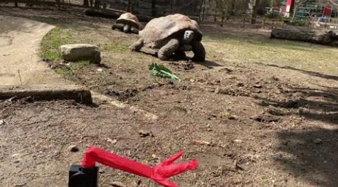 为什么商场门口的充气人偶总是舞得那么魔性