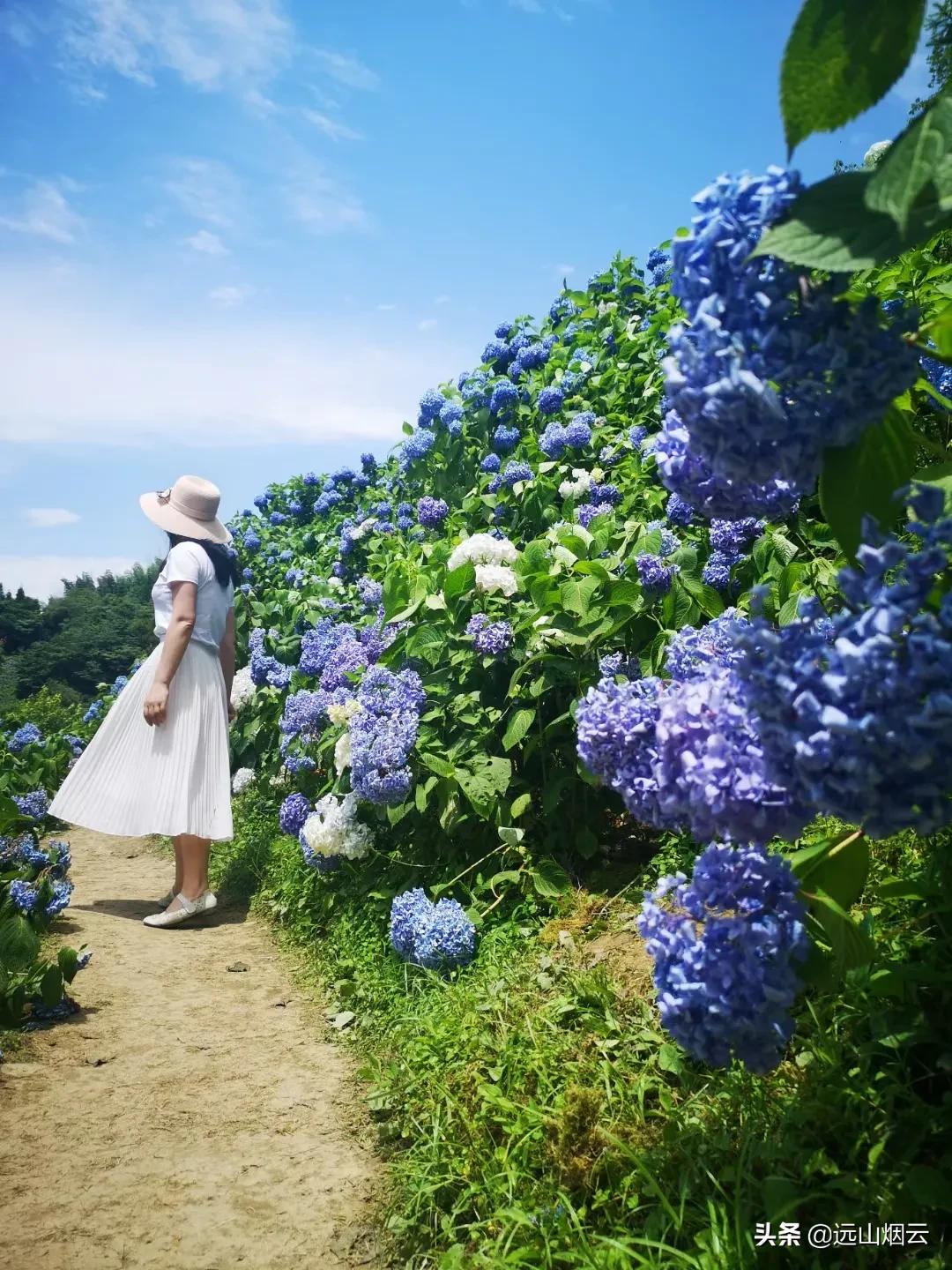 华为自拍杆使用教程视频,爱酷者自拍杆怎么使用