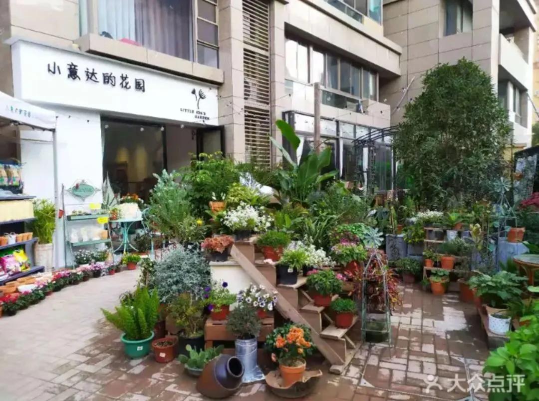 芜湖探店：小意达的花园——让鲜花芬芳你生活的每一个角落