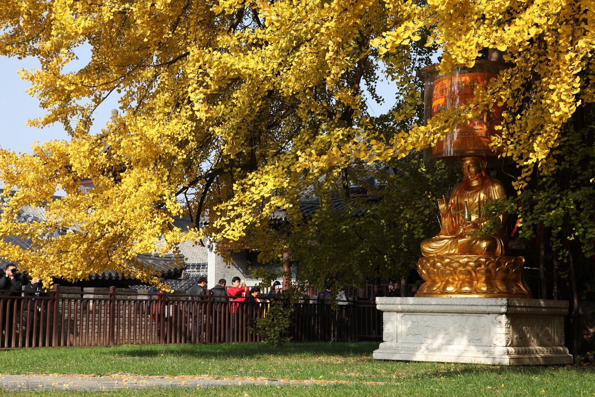 西安长安区在西安什么地位,长安为什么被称为特别行政区