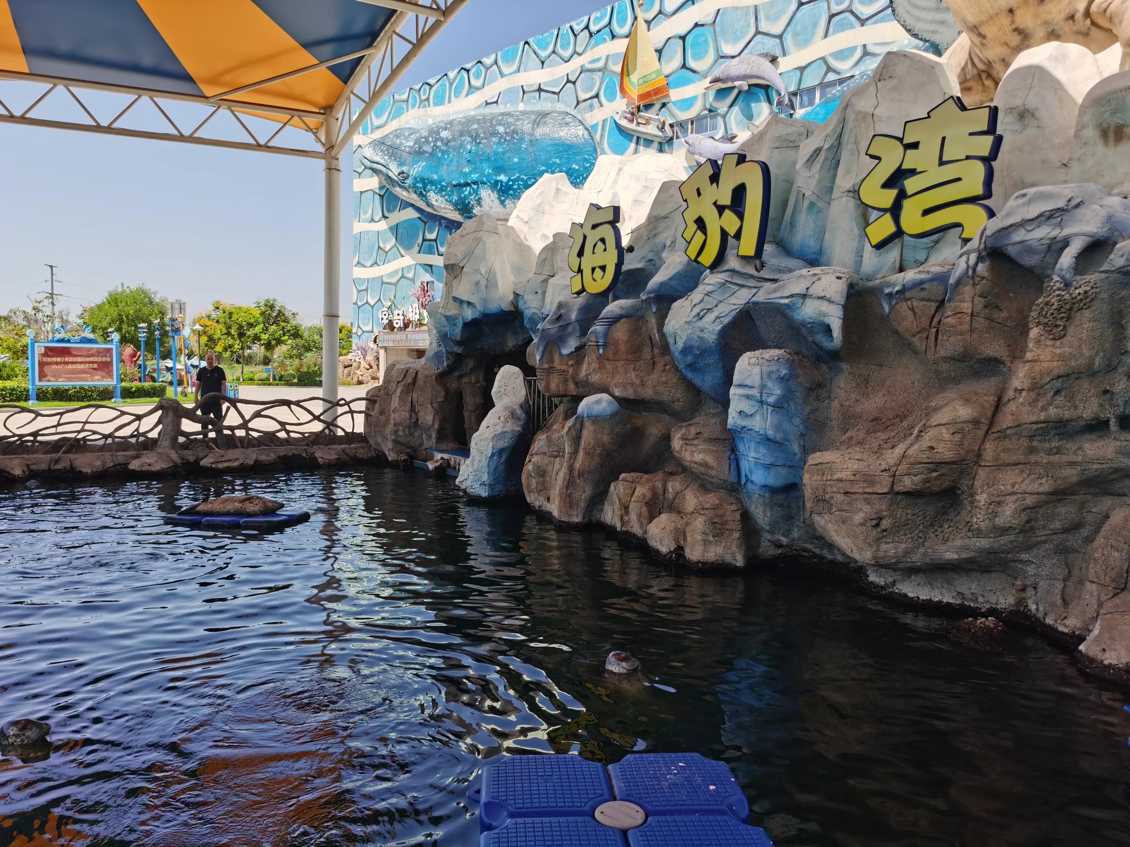 华夏文旅5d飞越丝路观看需要多久,西安华夏文旅丝路飞跃