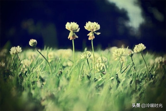 男人的忽冷忽热告诉你，是时候散伙了