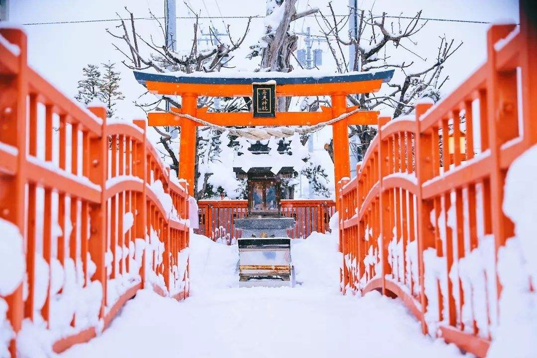 错过再等一年，12月唯日本雪景与全日空不可辜负