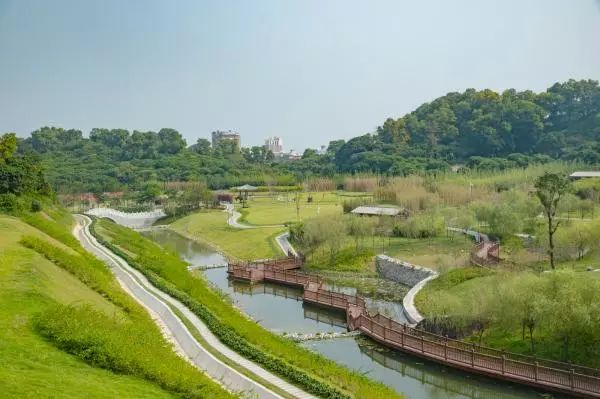 人少还免门票！深圳这片5000000㎡新公园美翻了，“神仙花谷”