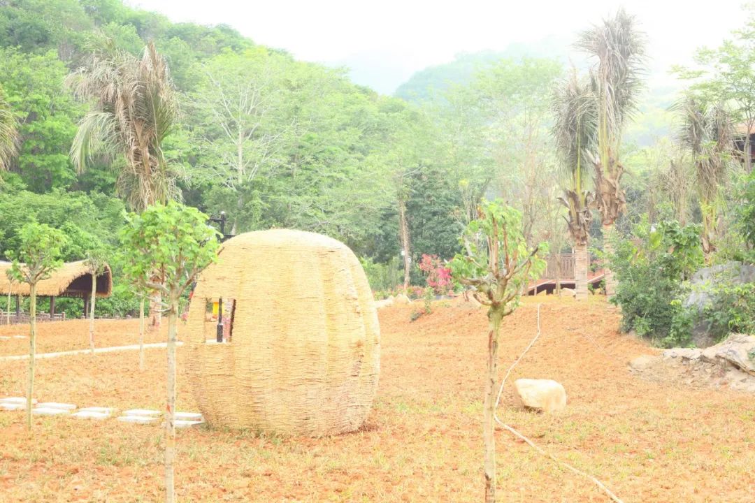 昌江梨花里视频完整版 (昌江王下乡黎花里自驾游攻略)