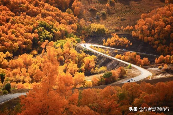 冬季克旗旅游自驾游攻略,克什克腾旗看秋色攻略