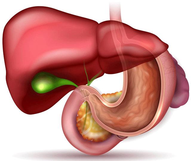 关注罕见病之先天性胆汁酸合成障碍