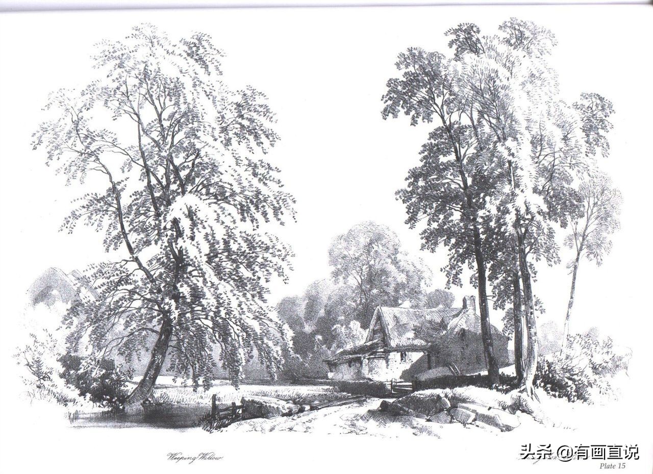 素描临摹高清大图初学,素描教程初学者临摹图