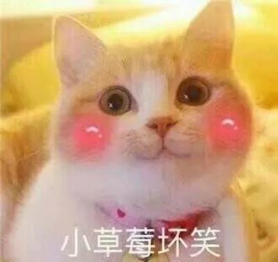 泫雅小野马2019,小野马泫雅街拍