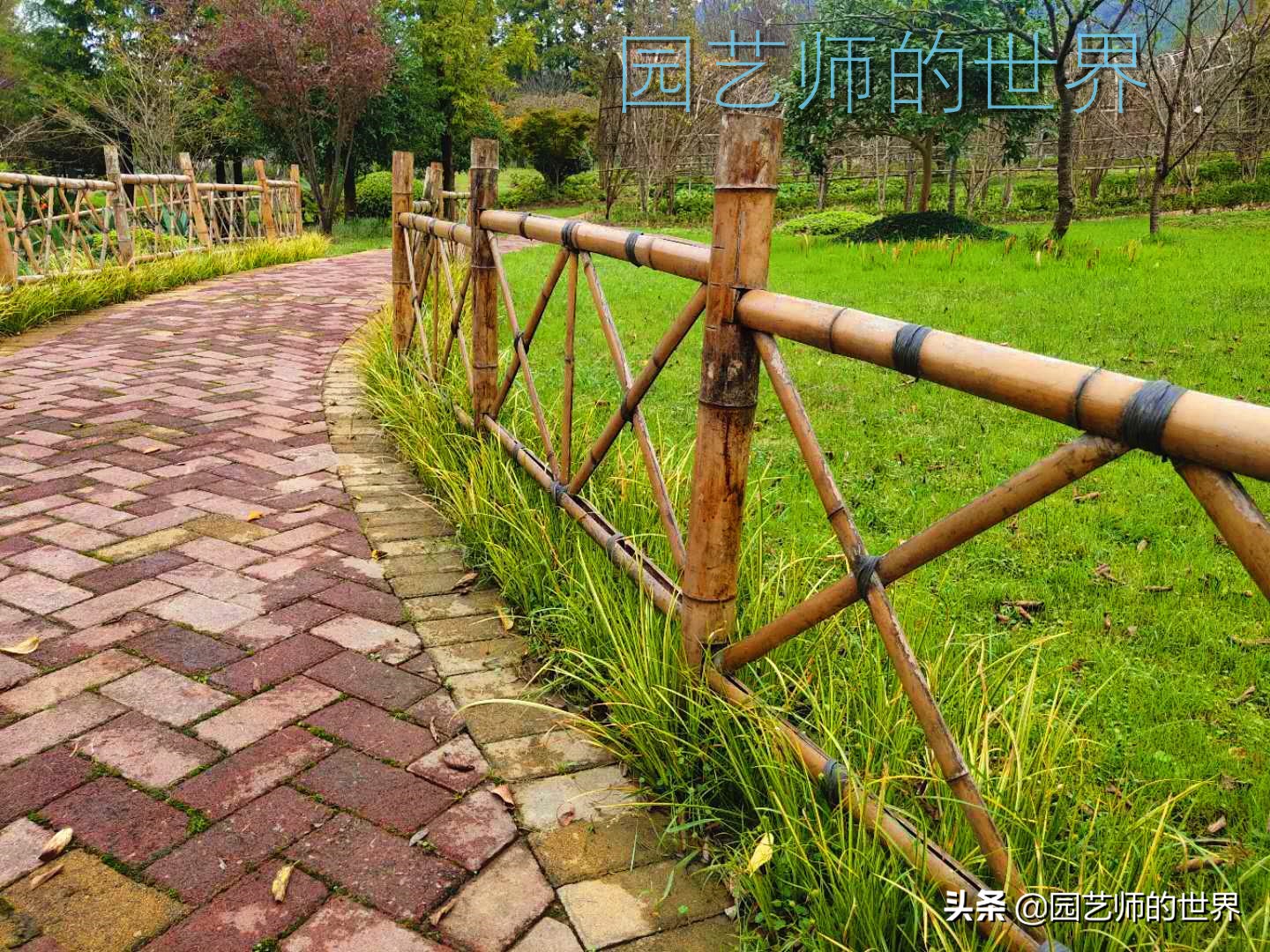 花园科学实验,花园案例及解析