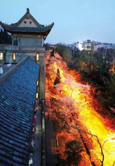 武汉攻略必去的一条街,武汉最神奇的区