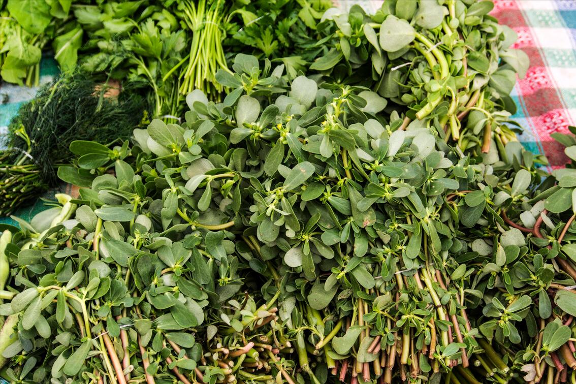 马齿苋不焯水凉拌方法,焯马齿苋放什么不酸