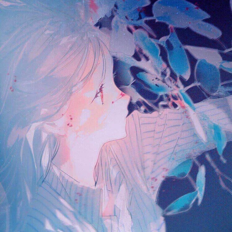 【动漫头像】我愿成为春日里的星，带你前行。