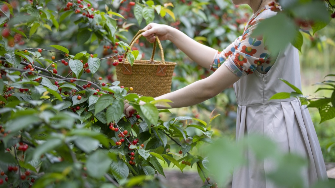 女孩子总想出去旅游,为什么成人总想旅游
