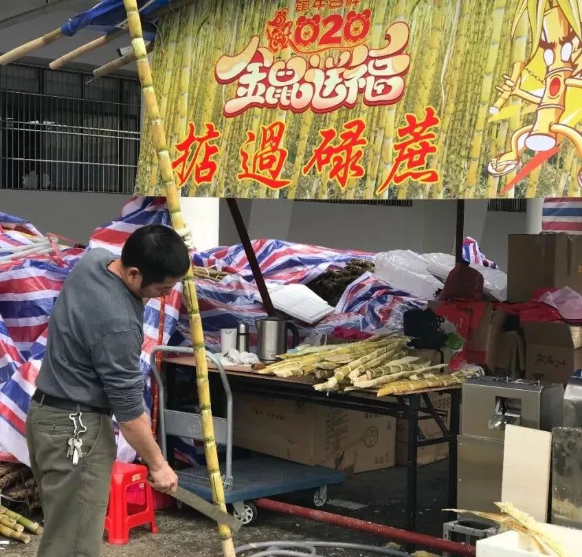 肇庆各区花市,2020肇庆市花市图片