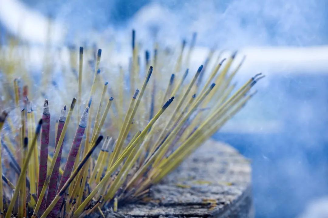 楝肩涓栫晫璧勬枡,楝肩涓栫晫瀹屾暣瑙嗛