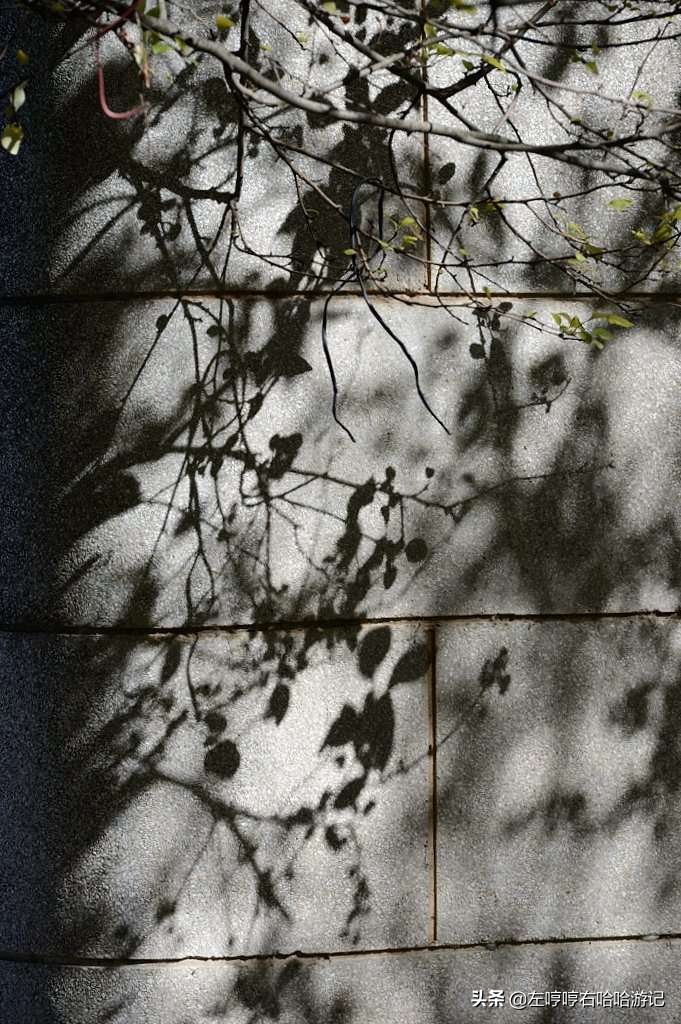 庾澄庆爷爷滇池边故居,庾澄庆的爷爷故居碧溪